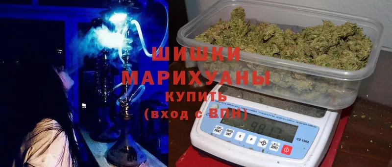 shop формула  Полярный  Бошки марихуана White Widow 